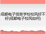 成都电子信息学校校风好不好(成都电子校风如何)