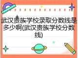 武汉贵族学校录取分数线是多少啊(武汉贵族学校分数线)