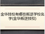 金华技校有哪些叛逆学校名字(金华叛逆技校)