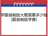 学服装制版大概需要多少钱(服装制版学费)
