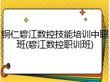 铜仁碧江数控技能培训中职班(碧江数控职训班)