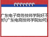 广东电子商务技师学院好不好(广东电商技师学院如何)