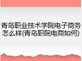 青岛职业技术学院电子商务怎么样(青岛职院电商如何)