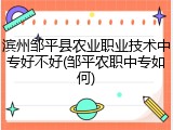 滨州邹平县农业职业技术中专好不好(邹平农职中专如何)