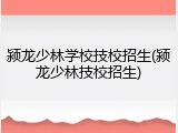 颍龙少林学校技校招生(颍龙少林技校招生)