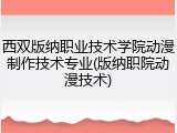西双版纳职业技术学院动漫制作技术专业(版纳职院动漫技术)