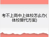 考不上高中上体校怎么办(体校替代方案)