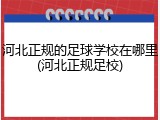河北正规的足球学校在哪里(河北正规足校)