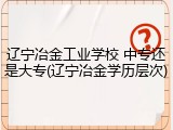 辽宁冶金工业学校 中专还是大专(辽宁冶金学历层次)