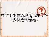 登封市少林寺塔沟武术学校(少林塔沟武校)