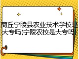 商丘宁陵县农业技术学校是大专吗(宁陵农校是大专吗)