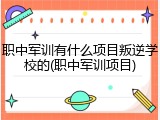 职中军训有什么项目叛逆学校的(职中军训项目)