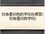 吐鲁番训狗的学校在哪里(吐鲁番训狗学校)