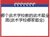 哪个武术学校教的武术最全面(武术学校哪家最全)