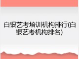 白银艺考培训机构排行(白银艺考机构排名)