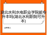 湖北水利水电职业学院能专升本吗(湖北水利职院可升本)