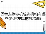 巴林左旗挖机培训机构有哪些(巴林左旗挖机培训)