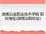 湖南冶金职业技术学院 职校地址(湖南冶院校址)