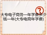 大专电子商务一年学费多少钱一年(大专电商年学费)