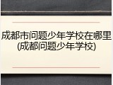 成都市问题少年学校在哪里(成都问题少年学校)