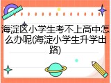 海淀区小学生考不上高中怎么办呢(海淀小学生升学出路)