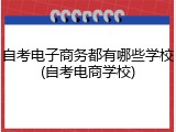 自考电子商务都有哪些学校(自考电商学校)