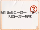 阳江阳西县一对一上门补习(阳西一对一辅导)