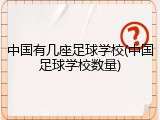 中国有几座足球学校(中国足球学校数量)