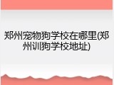 郑州宠物狗学校在哪里(郑州训狗学校地址)
