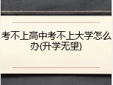 考不上高中考不上大学怎么办(升学无望)