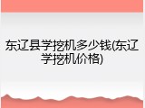 东辽县学挖机多少钱(东辽学挖机价格)