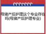 母猪产后护理这个专业存在吗(母猪产后护理专业)