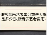 张掖音乐艺考集训花费大概是多少(张掖音乐艺考费用)