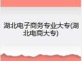 湖北电子商务专业大专(湖北电商大专)