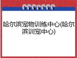 哈尔滨宠物训练中心(哈尔滨训宠中心)