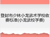 登封市少林小龙武术学校收费标准(小龙武校学费)
