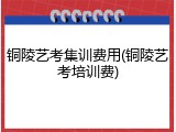 铜陵艺考集训费用(铜陵艺考培训费)