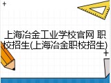 上海冶金工业学校官网 职校招生(上海冶金职校招生)