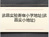 武昌实验寄宿小学地址(武昌实小地址)