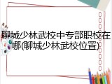 聊城少林武校中专部职校在哪(聊城少林武校位置)