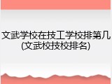 文武学校在技工学校排第几(文武校技校排名)
