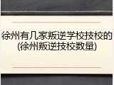 徐州有几家叛逆学校技校的(徐州叛逆技校数量)