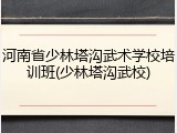 河南省少林塔沟武术学校培训班(少林塔沟武校)