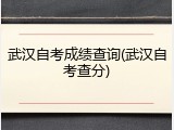 武汉自考成绩查询(武汉自考查分)