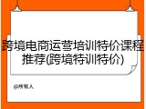 跨境电商运营培训特价课程推荐(跨境特训特价)