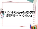 衡阳少年叛逆学校哪家好(衡阳叛逆学校排名)