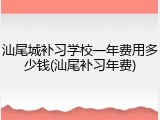 汕尾城补习学校一年费用多少钱(汕尾补习年费)
