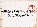 电子商务大专学校推荐2025级(电商大专2025)