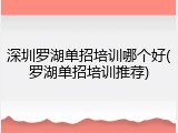 深圳罗湖单招培训哪个好(罗湖单招培训推荐)