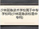 少林延鲁武术学校属于中专学校吗(少林延鲁武校是中专吗)